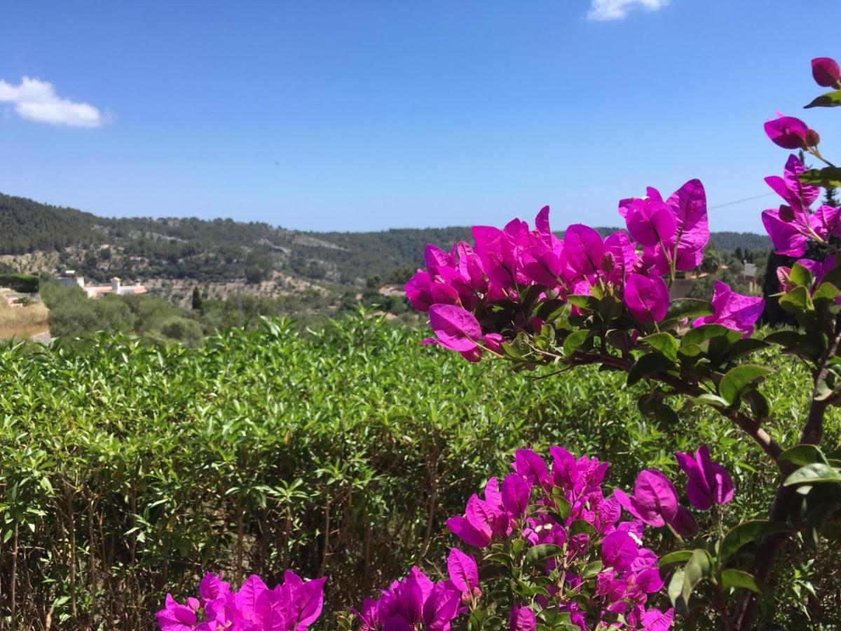 Wunderschoene Ruhige Finca Mit Pool In Galilea Galilea (Mallorca) Exterior foto